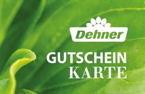 Dehner Gutschein