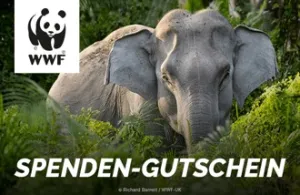 Wwf Gutschein