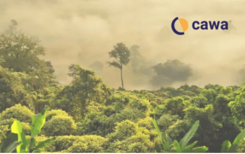 Cawa